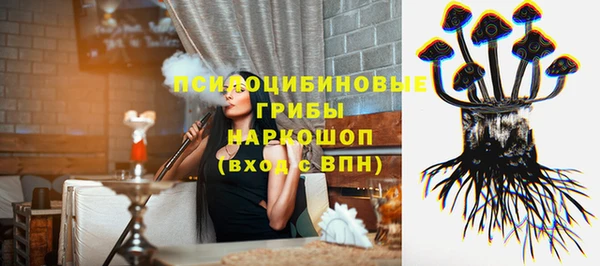 хмурый Слюдянка