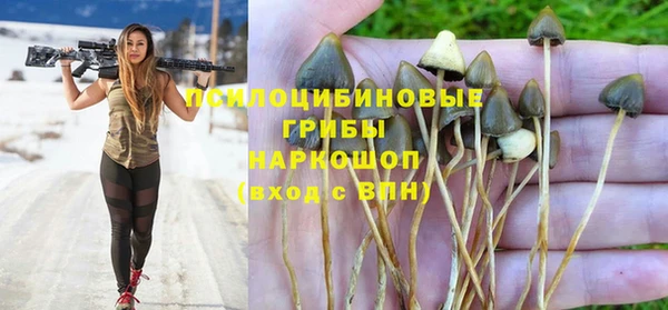хмурый Слюдянка