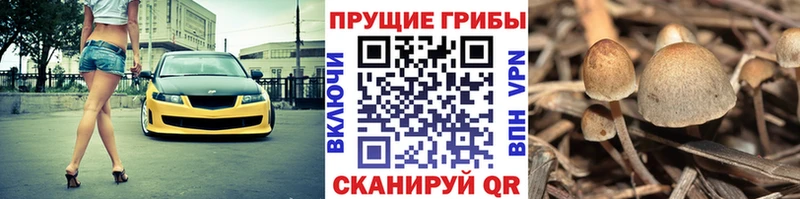 Псилоцибиновые грибы Magic Shrooms  Шиханы 